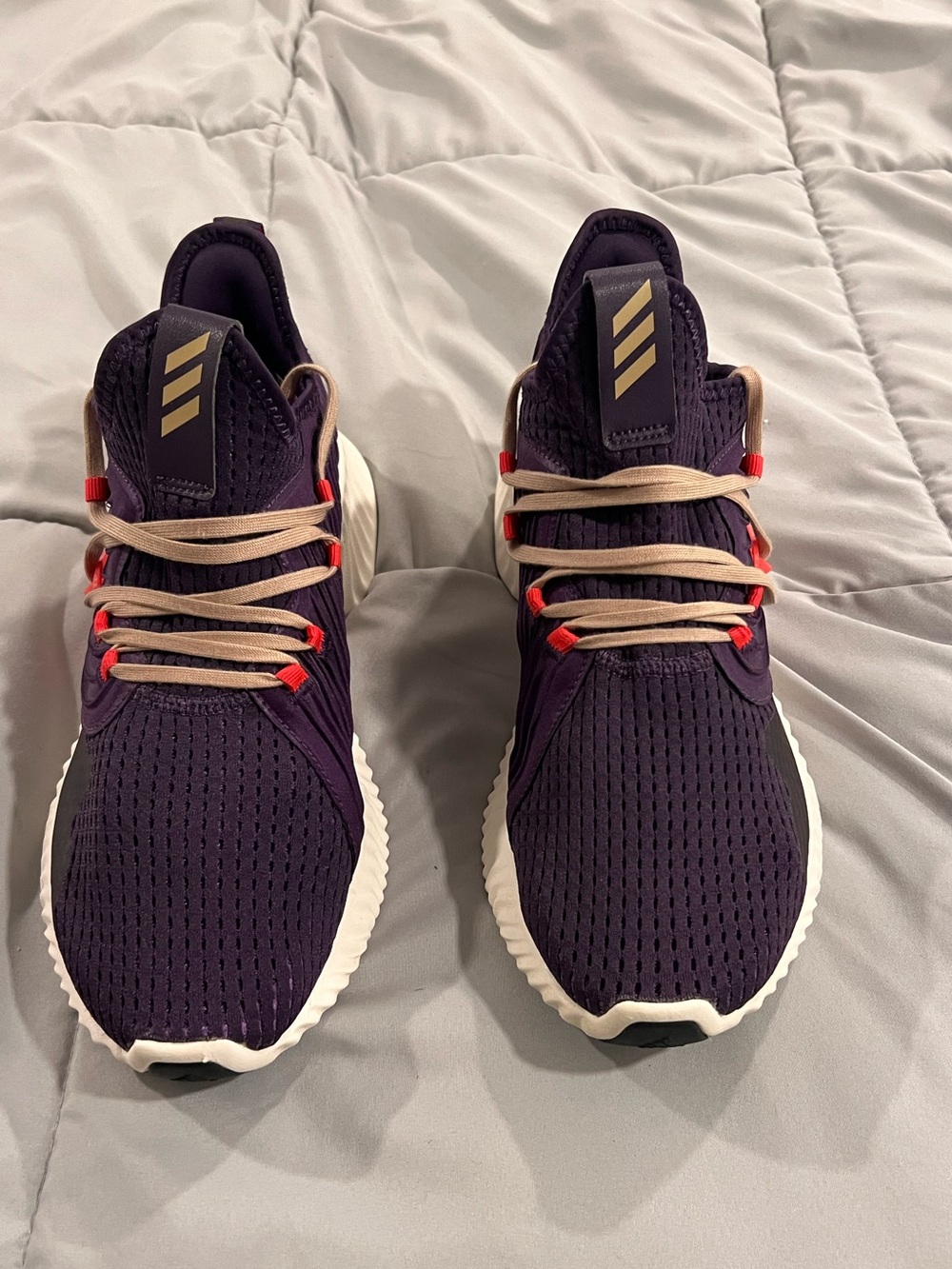Adidas Men's Alphabounce Instinct Clima Legend Purple 10.5
